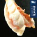 【阿家海鮮】頂級生凍(大龍蝦身/龍蝦尾) (200g±10%/單尾)